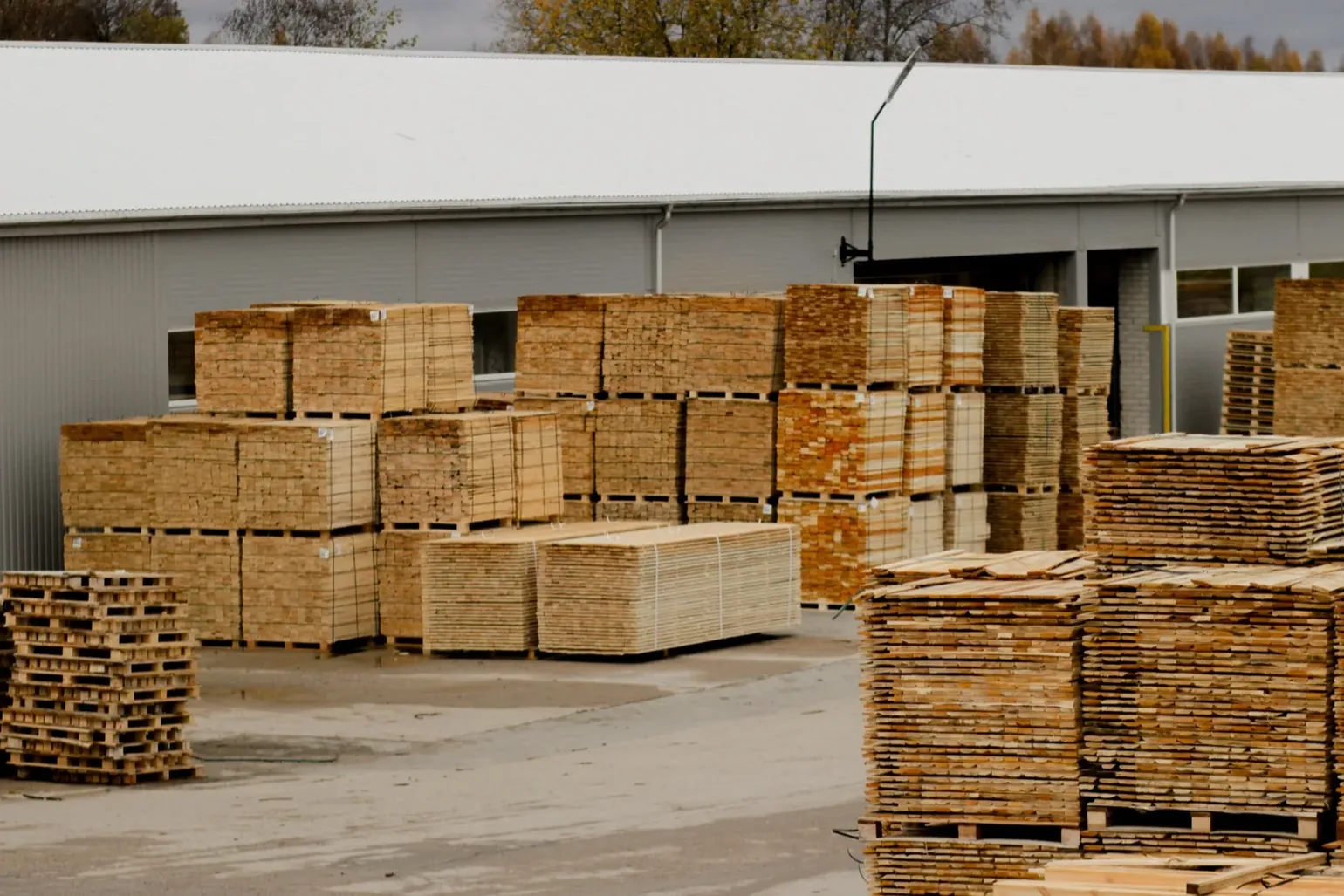 Mediniai ar plastikiniai padėklai: sąžiningas palyginimas